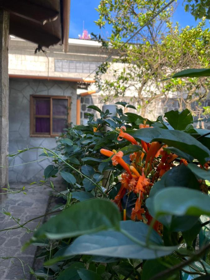 Casa Qatzij - Guest House, Lake Atitlan San Lucas Tolimán Exteriér fotografie